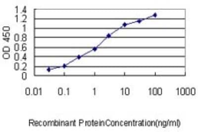 Sandwich ELISA: ISCU Antibody (3B8-1C4) [H00023479-M01] - Detection limit for recombinant GST tagged NIFUN is approximately 0.03ng/ml as a capture antibody.