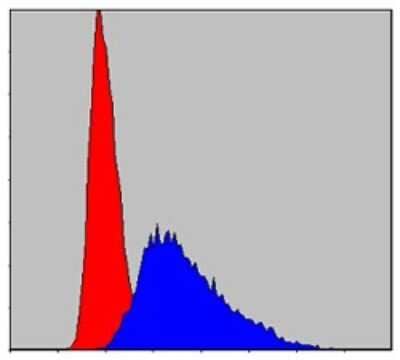 Flow Cytometry: ITK Antibody (5G6) [NBP2-37578] - Analysis of Jurkat cells using ITK mouse mAb (blue) and negative control (red).