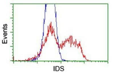 Flow Cytometry: Iduronate 2-Sulfatase/IDS Antibody (1D9) [NBP2-01745] - HEK293T cells transfected with either overexpression plasmid (Red) or empty vector control plasmid (Blue) were immunostained by anti-Iduronate 2 sulfatase antibody, and then analyzed by flow cytometry.