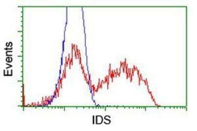 Flow Cytometry Iduronate 2-Sulfatase/IDS Antibody (OTI4G2)