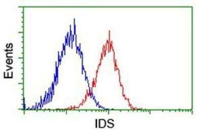Flow Cytometry: Iduronate 2-Sulfatase/IDS Antibody (OTI1D9) - Azide and BSA Free [NBP2-70994] - Analysis of Hela cells, using anti-Iduronate 2 sulfatase antibody, (Red), compared to a nonspecific negative control antibody (Blue).