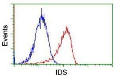Flow Cytometry: Iduronate 2-Sulfatase/IDS Antibody (OTI1D9) - Azide and BSA Free [NBP2-70994] - Analysis of Jurkat cells, using anti-Iduronate 2 sulfatase antibody, (Red), compared to a nonspecific negative control antibody (Blue).