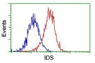 Flow Cytometry: Iduronate 2-Sulfatase/IDS Antibody (OTI4G2) - Azide and BSA Free [NBP2-70996] - Analysis of Hela cells, using anti-Iduronate 2 sulfatase antibody, (Red), compared to a nonspecific negative control antibody (Blue).