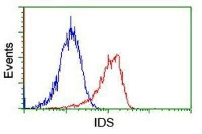 Flow Cytometry: Iduronate 2-Sulfatase/IDS Antibody (OTI4G2) - Azide and BSA Free [NBP2-70996] - Analysis of Jurkat cells, using anti-Iduronate 2 sulfatase antibody, (Red), compared to a nonspecific negative control antibody (Blue).