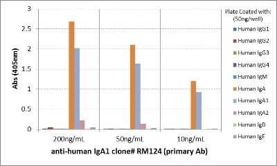 ELISA: IgA1 Antibody (RM124) [Unconjugated] [NBP2-62024] - ELISA of human immunoglobulins shows NBP2-62024 only reacts to human IgA1. The clone very slightly cross reacts with IgA2. No cross reactivity with human IgG, IgM, IgD, or IgE. The plate was coated with different immunoglobulins. NBP2-62024 was used as the primary antibody. An alkaline phosphatase conjugated Anti-Rabbit IgG was used as the secondary antibody.