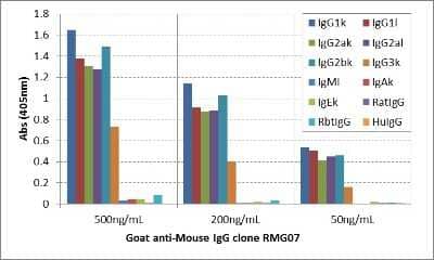ELISA: IgG Antibody (RMG07) [Unconjugated] [NBP2-62018] - ELISA of mouse immunoglobulins shows NBP2-62018 reacts to mouse IgG1, IgG2a, IgG2b, and IgG3; no cross reactivity with IgM, IgA, IgE, human IgG, rat IgG, and rabbit IgG. The plate was coated with different immunoglobulins. NBP2-62018 was used as the primary antibody. An alkaline phosphatase conjugated anti-goat IgG as the secondary antibody.