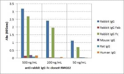 ELISA: IgG Fc Antibody (RMG02) [Unconjugated] [NBP2-62015] - ELISA of IgGs from different species shows NBP2-62015 reacts to the Fc region of rabbit IgG; no cross reactivity with human IgG, rat IgG, or mouse IgG. The plate was coated with different IgGs. NBP2-62015 was used as the primary antibody. An alkaline phosphatase conjugated anti-goat IgG as the secondary antibody.