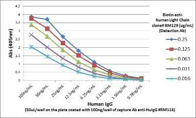 Sandwich ELISA Detection: IgG Heavy Chain Antibody (RM116) [NBP2-62019] - Sandwich ELISA using NBP2-62019 as the capture antibody, and NBP3-18532 as the detection antibody, followed by an alkaline phosphatase conjugated streptavidin.