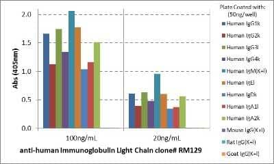 ELISA Ig Light Chain Antibody (RM129)