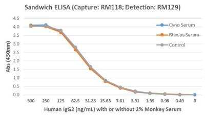 Sandwich ELISA: IgG2 Antibody (RM118) [NBP2-62076] - Sandwich ELISA for detection of human IgG2 in monkey serum, using NBP2-62076 as the capture antibody, and biotinylated-NBP2-77396 as the detection antibody, followed by a HRP conjugated streptavidin.