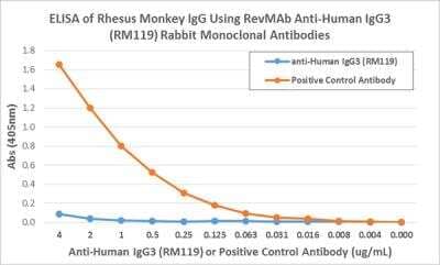 ELISA: IgG3 Antibody (RM119) [Unconjugated] [NBP2-62125] - ELISA showing RM119 does not react to monkey IgG. The plate was coated with Rhesus monkey IgG. A serial dilution of RM119 and a monkey IgG binding antibody (positive control) was used as the detection antibody.