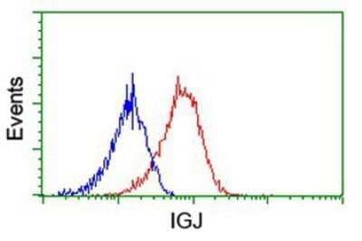 Flow Cytometry: IgJ Antibody (OTI3B3) - Azide and BSA Free [NBP2-71016] - Analysis of Hela cells, using anti-IgJ antibody, (Red), compared to a nonspecific negative control antibody (Blue).