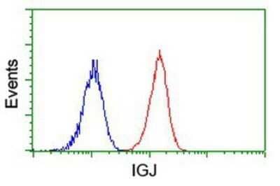 Flow Cytometry: IgJ Antibody (OTI3B3) - Azide and BSA Free [NBP2-71016] - Analysis of Jurkat cells, using anti-IgJ antibody, (Red), compared to a nonspecific negative control antibody (Blue).