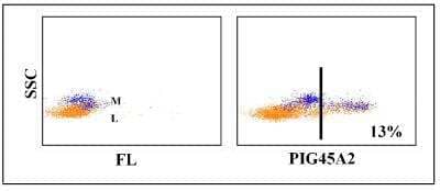 Flow Cytometry: IgM Antibody (PIG45A2) [NBP2-61070] - Obtained with pig leukocytes