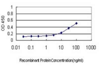 Sandwich ELISA: IkB-beta Antibody (1B5) [H00004793-M01] - Detection limit for recombinant GST tagged NFKBIB is approximately 1ng/ml as a capture antibody.