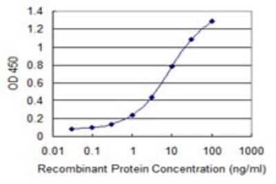 Sandwich ELISA: IkB-beta Antibody (1G6) [H00004793-M06] - Detection limit for recombinant GST tagged NFKBIB is 0.1 ng/ml as a capture antibody.