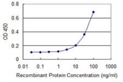 Sandwich ELISA: IkB-beta Antibody (2B11) [H00004793-M02] - Detection limit for recombinant GST tagged NFKBIB is 1 ng/ml as a capture antibody.