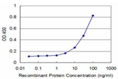 ELISA: IkB-beta Antibody (3B5) [H00004793-M04] - Detection limit for recombinant GST tagged NFKBIB is approximately 3ng/ml as a capture antibody.