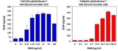 Imidazoquinoline Resiquimod (R-848), TLR7 and TLR8 ligand [NBP2-26231] - R-848 specifically activated the TLR7- or TLR8-depedent NF-kB/SEAP reporter cells in a dose dependent manner.