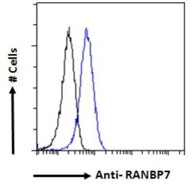 Flow Cytometry: Importin-7 Antibody [NB100-1081] - Flow cytometric analysis of paraformaldehyde fixed HeLa cells (blue line), permeabilized with 0.5% Triton. Primary incubation 1hr (10 ug/mL) followed by Alexa Fluor 488 secondary antibody (1 ug/mL). IgG control: Unimmunized goat IgG (black line) followed by Alexa Fluor 488 secondary antibody.
