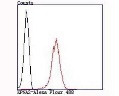 Flow Cytometry: Importin alpha 2/KPNA2 Antibody (JM90-33) [NBP2-75543] - Analysis of 293T cells with KPNA2 antibody at 1/100 dilution (red) compared with an unlabelled control (cells without incubation with primary antibody; black).