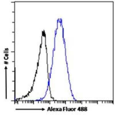 Flow Cytometry: Importin beta/KPNB1 Antibody [NB100-40784] - Flow cytometric analysis of paraformaldehyde fixed A431 cells (blue line), permeabilized with 0.5% Triton. Primary incubation 1hr (10 ug/mL) followed by Alexa Fluor 488 secondary antibody (1 ug/mL). IgG control: Unimmunized goat IgG (black line) followed by Alexa Fluor 488 secondary antibody.