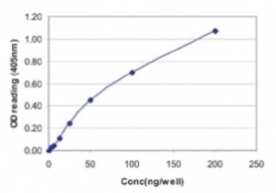 ELISA: Influenza A H1N1 Nucleoprotein Antibody (2F205) [NBP2-80813] - Influenza A H1N1 standard curve. Influenza A H1N1 Nucleoprotein mAb, clone 2F205 was used as the capture antibody. Influenza A H1N1 Nucleoprotein pAb was used as the detection antibody. Recombinant Influenza A H1N1 Nucleoprotein was used as the protein standard. Researchers should empirically determine the optimal antibody concentrations for their ELISA assays. Image from the standard format of this antibody.