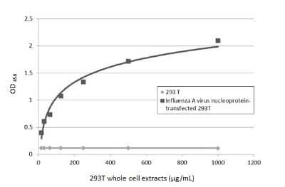 Sandwich ELISA: Influenza A H1N1 Nucleoprotein Antibody (GT1236) [NBP3-13493] - Sandwich ELISA detection of non-transfected and Influenza A virus nucleoprotein transfected 293T whole cell extracts using Influenza A H1N1 Nucleoprotein antibody [GT1236] (NBP3-13493) as capture antibody at concentration of 5 ug/mL and Influenza A H1N1 Nucleoprotein antibody (NBP2-16965) as detection antibody at concentration of 1 ug/mL. Rabbit IgG antibody (HRP) (NBP2-19301) was diluted at 1:10000 and used to detect the primary antibody.