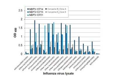 ELISA: Influenza A H3N2 Nucleoprotein Antibody (HL1103) [NBP3-13721] - Indirect ELISA analysis was performed by coating a plate with viral lysates (1 ug) derived from different strains of influenza A virus or influenza B virus and probing with the specified influenza A virus nucleoprotein antibodies (1 ug/ml). Goat anti-rabbit IgG antibody (HRP) (NBP2-19301) (1:10000) or goat anti-mouse IgG antibody (HRP) (NBP2-19382) (1:10000) were used to detect the bound primary antibodies.