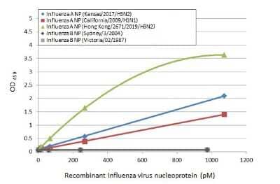 Sandwich ELISA: Influenza A H3N2 Nucleoprotein Antibody (HL1103) [NBP3-13721] - Sandwich ELISA detection of recombinant nucleoproteins (NP) derived from different strains of Influenza A virus (i.e., A/Kansas/2017 (H3N2); A/California/2009 (H1N1); A/Hong Kong/2671/2019 (H3N2)) and Influenza B virus (i.e., B/Sydney/3/2004; B/Victoria/02/1987) using antibodies as below. Capture: Influenza A H3N2 nucleoprotein antibody [HL1103] (NBP3-13721) (5 ug/mL) Detection: HRP-conjugated Influenza A virus NP (nucleoprotein) antibody [HL1078] (NBP3-13714) (1 ug/mL). Please notice that NBP3-13714 needs to be conjugated to HRP to function as the detection antibody when paired with NBP3-13721. Please contact us for custom HRP-conjugated antibody.