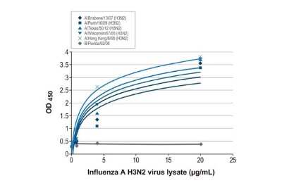 Sandwich ELISA: Influenza A H3N2 Nucleoprotein Antibody (HL1103) [NBP3-13721] - Sandwich ELISA detection of viral lysate derived from different strains of Influenza A virus (i.e., A/Brisbane/10/07 (H3N2); A/Perth/16/09 (H3N2); A/Texas/50/12 (H3N2); A/Wisconsin/67/05 (H3N2); A/Hong Kong/8/68 (H3N2)) and Influenza B virus (i.e., B/Florida/02/06) using antibodies as below. Capture: Influenza A H3N2 nucleoprotein antibody [HL1103] (NBP3-13721) (5 ug/mL) Detection: HRP-conjugated Influenza A nucleoprotein antibody [HL1089] (NBP3-13715) (1 ug/mL) Please notice that NBP3-13715 needs to be conjugated to HRP to function as the detection antibody when paired with NBP3-13721. Please contact us for custom HRP-conjugated antibody.