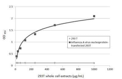 Sandwich ELISA: Influenza A H1N1 Nucleoprotein Antibody [NBP2-16965] - Detection of non-transfected and Influenza A virus nucleoprotein transfected 293T whole cell extracts using Influenza A H1N1 Nucleoprotein antibody [1236]  as capture antibody at concentration of 5 ug/mL and Influenza A H1N1 Nucleoprotein antibody as detection antibody at concentration of 1 ug/mL. Rabbit IgG antibody (HRP) (NBP2-19301) was diluted at 1:10000 and used to detect the primary antibody.