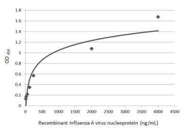 Sandwich ELISA: Influenza A H1N1 Nucleoprotein Antibody [NBP2-16965] - Detection of recombinant full-length Influenza A H1N1 Nucleoprotein, DDDDK tag using Influenza A H1N1 Nucleoprotein antibody as capture antibody at concentration of 5 ug/mL and Influenza A H1N1 Nucleoprotein antibody [1236] as detection antibody at concentration of 1 ug/mL. Mouse IgG antibody (HRP) (NBP2-19301) was diluted at 1:10000 and used to detect the primary antibody.