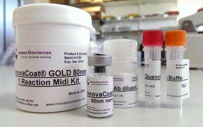 InnovaCoat GOLD 80nm Mini Antibody Labeling Kit [231-0005]