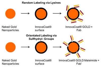InnovaCoat Gold - 20nm Mini Maleimide Antibody Labeling Kit [271-0005]
