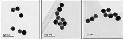 InnovaGOLD - 1 OD 40nm gold nanoparticles Antibody Labeling Kit [201-0010] - TEM example pictures showing the high consistency of size and shape of gold nanoparticles