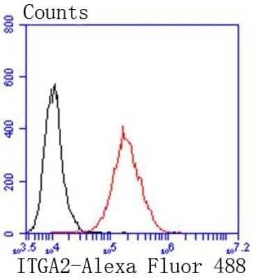 Flow Cytometry: Integrin alpha 2/CD49b Antibody (SN0752) [NBP2-67691] - Analysis of A431 cells with ITGA2 antibody at 1/50 dilution (red) compared with an unlabelled control (cells without incubation with primary antibody; black). Alexa Fluor 488-conjugated goat anti rabbit IgG was used as the secondary antibody.