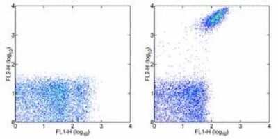 Flow Cytometry: Integrin alpha 2b/CD41 Antibody (MWReg30) [Biotin] [NBP1-43649] - Staining of mouse platelets with Anti-Mouse/Rat CD61 (Integrin beta 3) FITC and 0.06 ug of Rat IgG1 K Isotype Control Biotin (left) or 0.06 ug of Anti-Mouse CD41 Biotin (right) followed by Streptavidin PE.