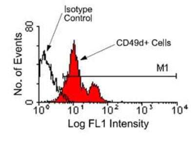 Flow Cytometry: Integrin alpha 4/CD49d Antibody (PS/2) [FITC] [NBP1-26662] - Less or equal to 2 ug/10^6 cellsCells from BALB/c bone marrow were stained with rat anti-mouse CD49d-FITC, following which lymphocytes were gated and analyzed on a flow cytometer.