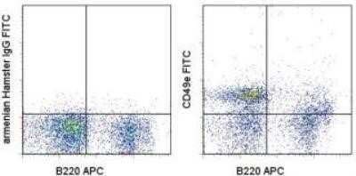 Flow Cytometry: Integrin alpha 5/CD49e Antibody (HMa5-1) [NBP1-43401] - Analysis using the FITC conjugate of NBP1-43401. Staining of BALB/c bone marrow cells with Anti-Human/Mouse CD45R (B220) APC and 0.25 micrograms of Armenian Hamster IgG Isotype Control FITC (left) or 0.5 micrograms of Anti-Mouse/Rat CD49e (Integrin a5) FITC (right). Total viable cells were used for anal