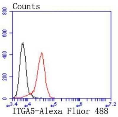 Flow Cytometry: Integrin alpha 5/CD49e Antibody (JJ08-94) [NBP2-67883] - Analysis of Jurkat cells with Integrin alpha 5 antibody at 1/50 dilution (red) compared with an unlabelled control (cells without incubation with primary antibody; black). Alexa Fluor 488-conjugated goat anti rabbit IgG was used as the secondary antibody.