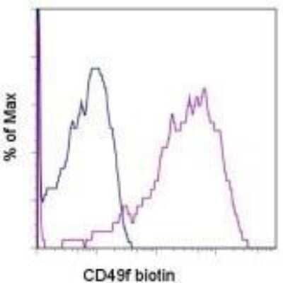 Flow Cytometry: Integrin alpha 6/CD49f Antibody (GoH3) [Biotin] [NBP1-43633] - Staining of normal human peripheral blood cells with 0.25 ug of Rat IgG2a k Isotype Control Biotin (open histogram) or 0.125 ug of Anti-Human/Mouse CD49f (Integrin a6) Biotin (filled histogram) followed by Streptavidin PE. Cells in the lymphocyte gate were used for analysis.