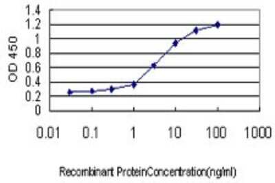 Sandwich ELISA: Integrin alpha 7 Antibody (8G2) [H00003679-M01] - Detection limit for recombinant GST tagged ITGA7 is approximately 0.1ng/ml as a capture antibody.