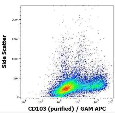 Flow Cytometry: Integrin alpha E/CD103 Antibody (Ber-ACT8) - BSA Free [NBP1-97564] - Staining pattern of human PHA stimulated peripheral blood mononuclear cells stained using anti-human CD103 (Ber-ACT8) purified antibody (concentration in sample 3 ug/ml, GAM APC).