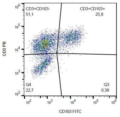 Flow Cytometry: Integrin alpha E/CD103 Antibody (Ber-ACT8) [FITC] [NBP1-97568] - Surface staining of CD103 on PHA-activated PBMC with anti-CD103 (Ber-ACT8) FITC.