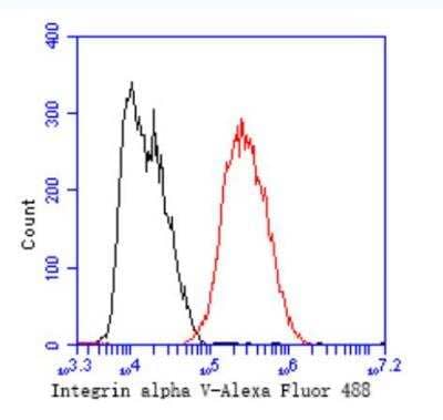 Flow Cytometry: Integrin alpha V beta 3 Antibody (SC56-07) [NBP2-67557] - Analysis of Integrin alpha V was done on MCF-7 cells. The cells were fixed, permeabilized and stained with the primary antibody (1/50) (red). After incubation of the primary antibody at room temperature for an hour, the cells were stained with a Alexa Fluor 488-conjugated Goat anti-Rabbit IgG Secondary antibody at 1/1000 dilution for 30 minutes.Unlabelled sample was used as a control (cells without incubation with primary antibody; black).