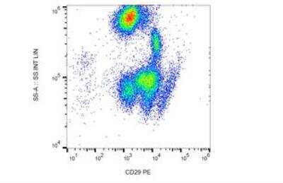 Flow Cytometry: Integrin beta 1/CD29 Antibody (MEM-101A) [Biotin] [NB110-81701] -  Staining of human peripheral blood with anti-human CD29 (MEM-101A) PE. 