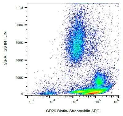 Flow Cytometry: Integrin beta 1/CD29 Antibody (MEM-101A) [Biotin] [NB110-81701] - Surface staining of human peripheral blood with anti-human CD29 (MEM-101A) biotin, streptavidin-APC.