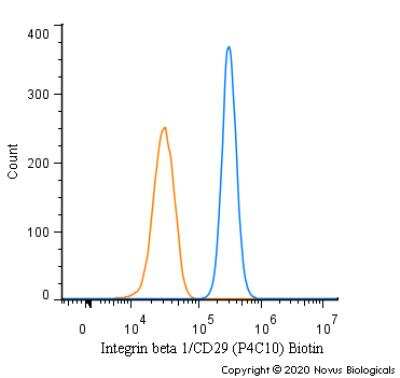 Flow Cytometry: Integrin beta 1/CD29 Antibody (P4C10) [Biotin] [NBP2-36561B] - An intracellular stain was performed on A431 cells with Integrin beta 1/CD29 [P4C10] Antibody NBP2-36561B (blue) and a matched isotype control (orange). Both antibodies were conjugated to Biotin. Cells were fixed with 4% PFA and then permeabilized with 0.1% saponin. Cells were incubated in an antibody dilution of 2.5 ug/mL for 30 minutes at room temperature, followed by Streptavidin - R-Phycoerythrin Protein (2012-1000, Novus Biologicals).