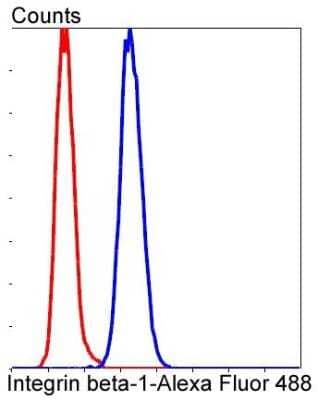 Flow Cytometry: Integrin beta 1/CD29 Antibody (SR30-03) [NBP2-67312] - Analysis of Hela cells with Integrin beta-1 antibody at 1/50 dilution (blue) compared with an unlabelled control (cells without incubation with primary antibody; red). Alexa Fluor 488-conjugated goat anti rabbit IgG was used as thesecondary antibody.